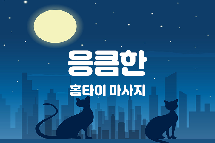 서울,경기 홈케어 [응큼한] 홈타이 출장마사지